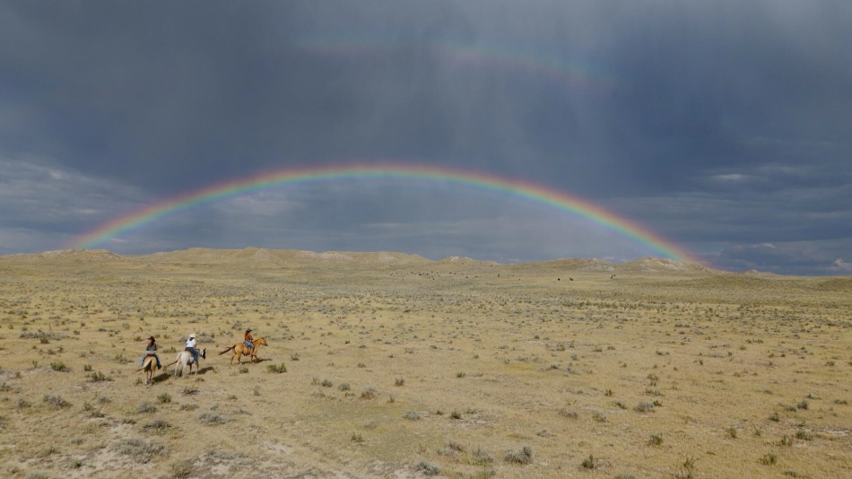 Quand le voyage de vos rêves devient réalité